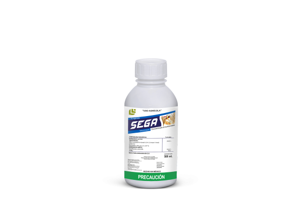 Sega